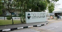 Raffles Park (D11), Detached #540944501